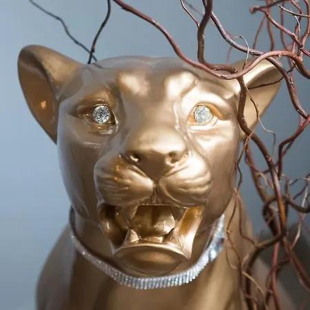 La Rose Medievale Balneo & Sauna Casa de Férias Domfront (Orne)