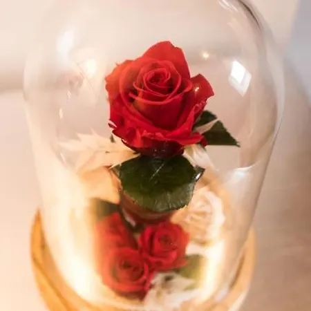 Casa de Férias La Rose Medievale Balneo & Sauna *