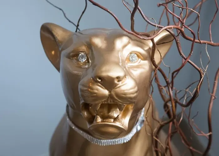 La Rose Médiévale Balnéo&sauna Hébergement de vacances Domfront (Orne)