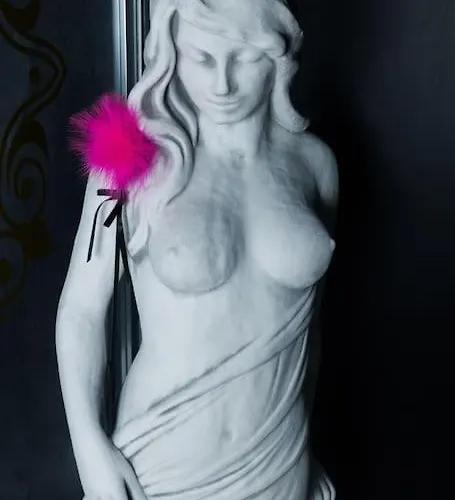 Hébergement de vacances La Rose Médiévale Balnéo&sauna *