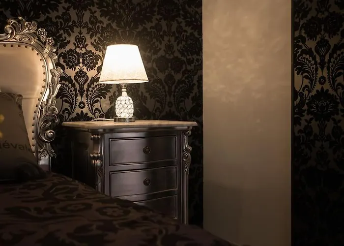 Hébergement de vacances La Rose Médiévale Balnéo&sauna *