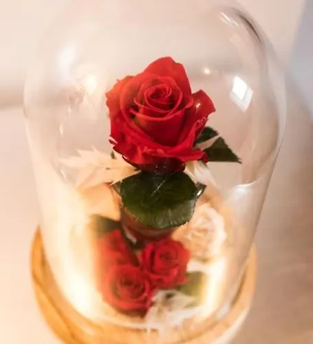 Hébergement de vacances La Rose Médiévale Balnéo&sauna *